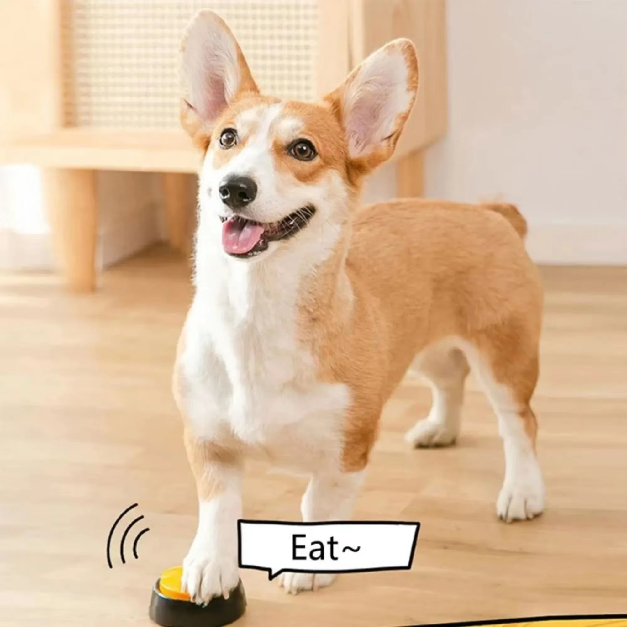 Dog Communication Buttons Voice Recording Button for Pet Training Buzzer Record Playback Funny Gift for Talking Pet