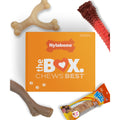 Dog Toy Gift Box, Includes 3 Dog Chew Toys and 1 Dog Treat, Large Dogs, 4 Pack
